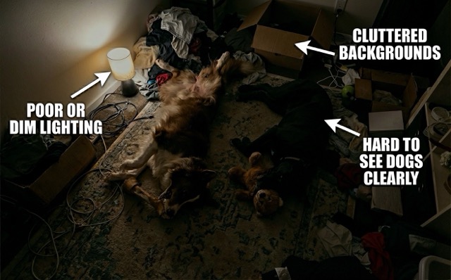 Bad example guide: Dim lighting, clutter, high angles
